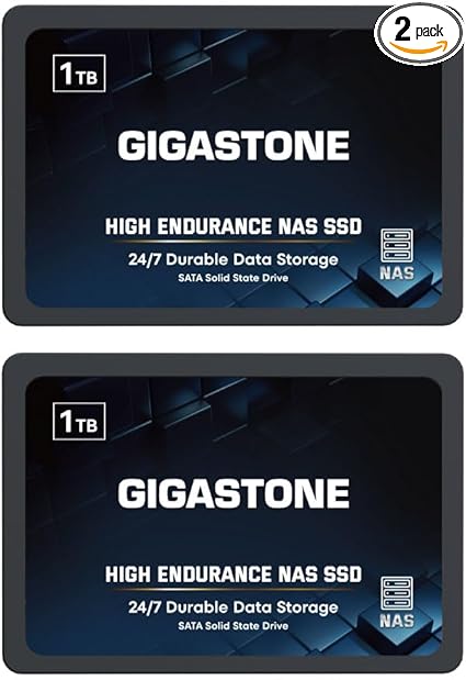 Gigastone 1TB NAS SSD Drive (2-Pack) 24/7 Durable TLC High Endurance RAID Data Storage Network Attached Storage 2.5" SATA Internal Solid State Hard Drives